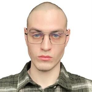 Дмитрий Стрельцов